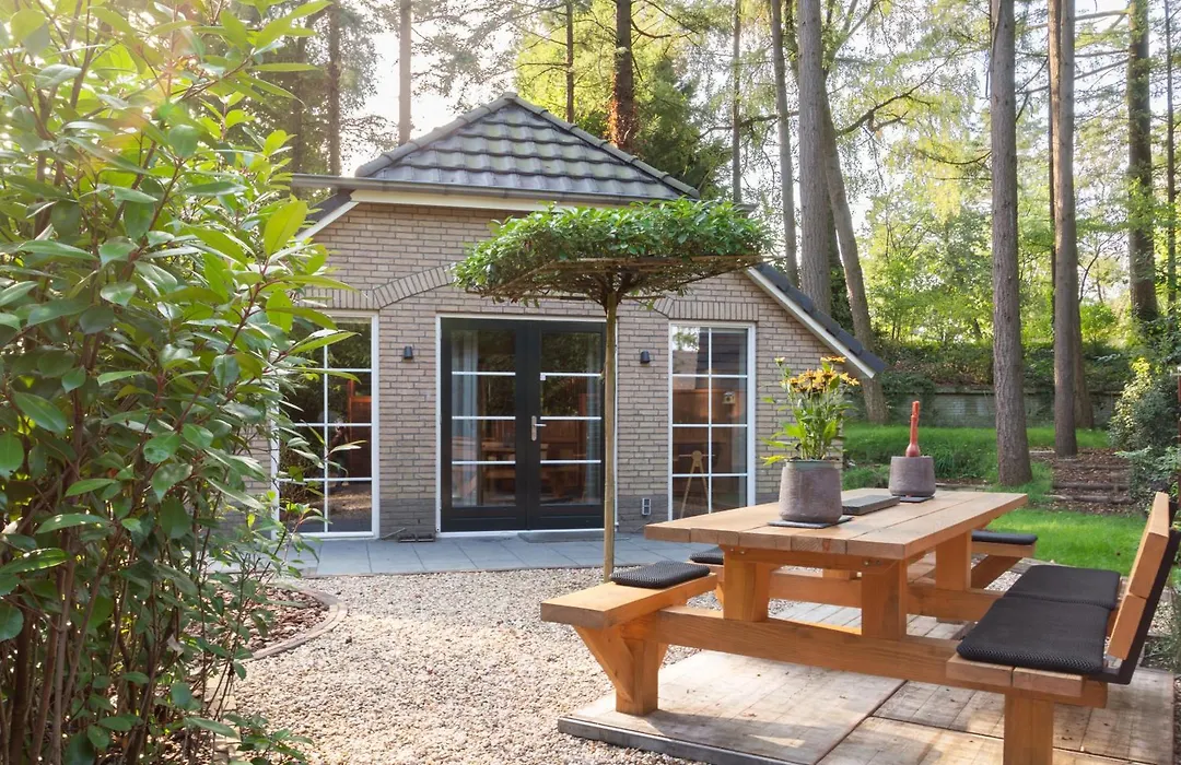 Veluwe vakantiehuis - Bosuil Lodge-1